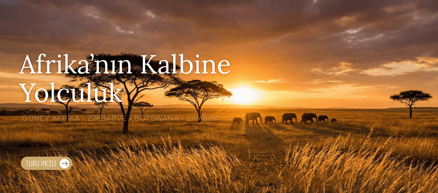 Güney Afrika Zambiya Zimbabwe Botswana Turu